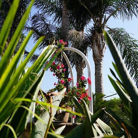 B&B Ciro Pompei Ngoại thất bức ảnh