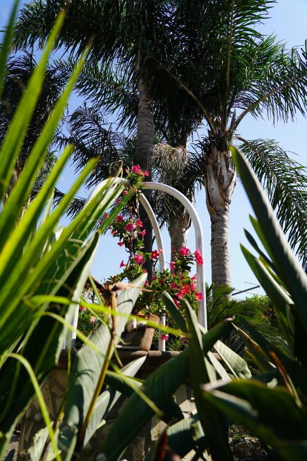 B&B Ciro Pompei Ngoại thất bức ảnh